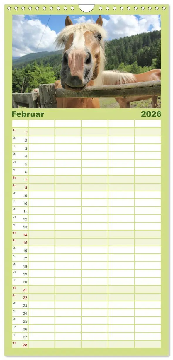 Bild: 9783516511147 | Familienplaner 2026 - Alpenpferde mit 5 Spalten (Wandkalender, 21 x...