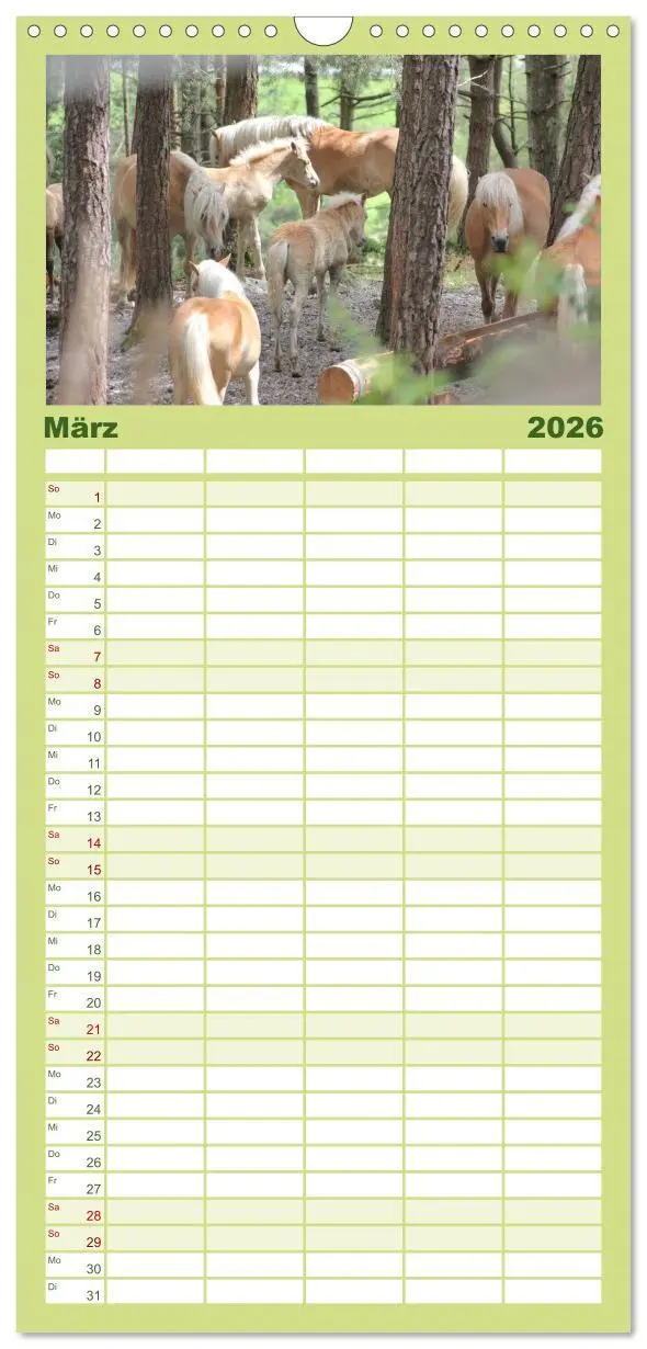Bild: 9783516511147 | Familienplaner 2026 - Alpenpferde mit 5 Spalten (Wandkalender, 21 x...