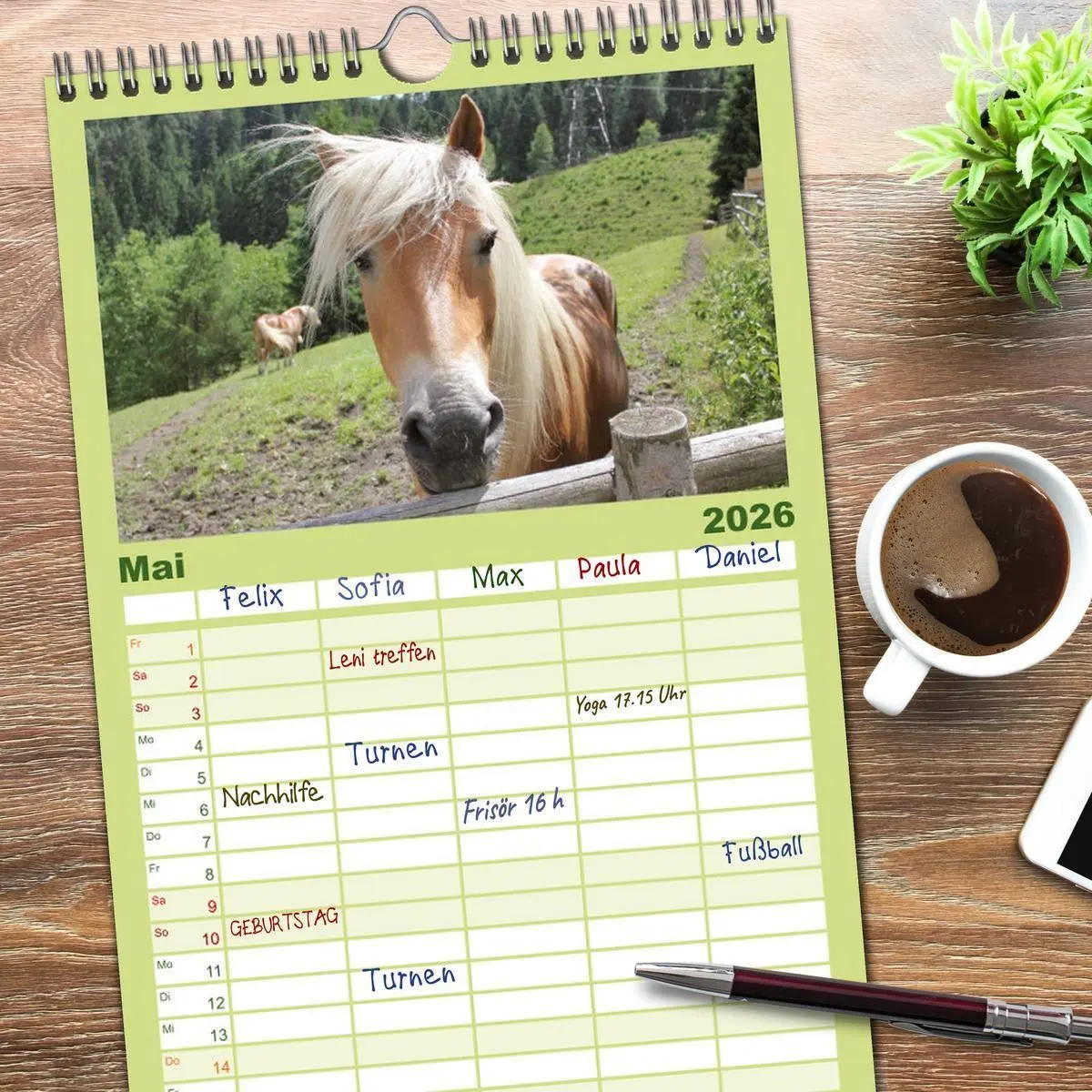 Bild: 9783516511147 | Familienplaner 2026 - Alpenpferde mit 5 Spalten (Wandkalender, 21 x...