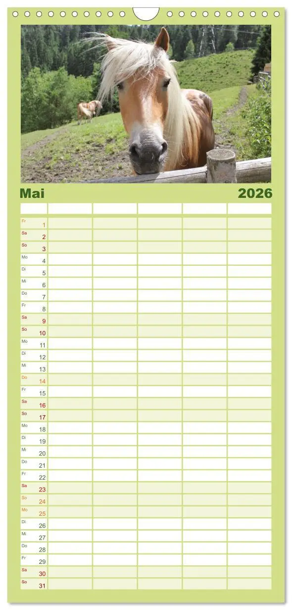 Bild: 9783516511147 | Familienplaner 2026 - Alpenpferde mit 5 Spalten (Wandkalender, 21 x...