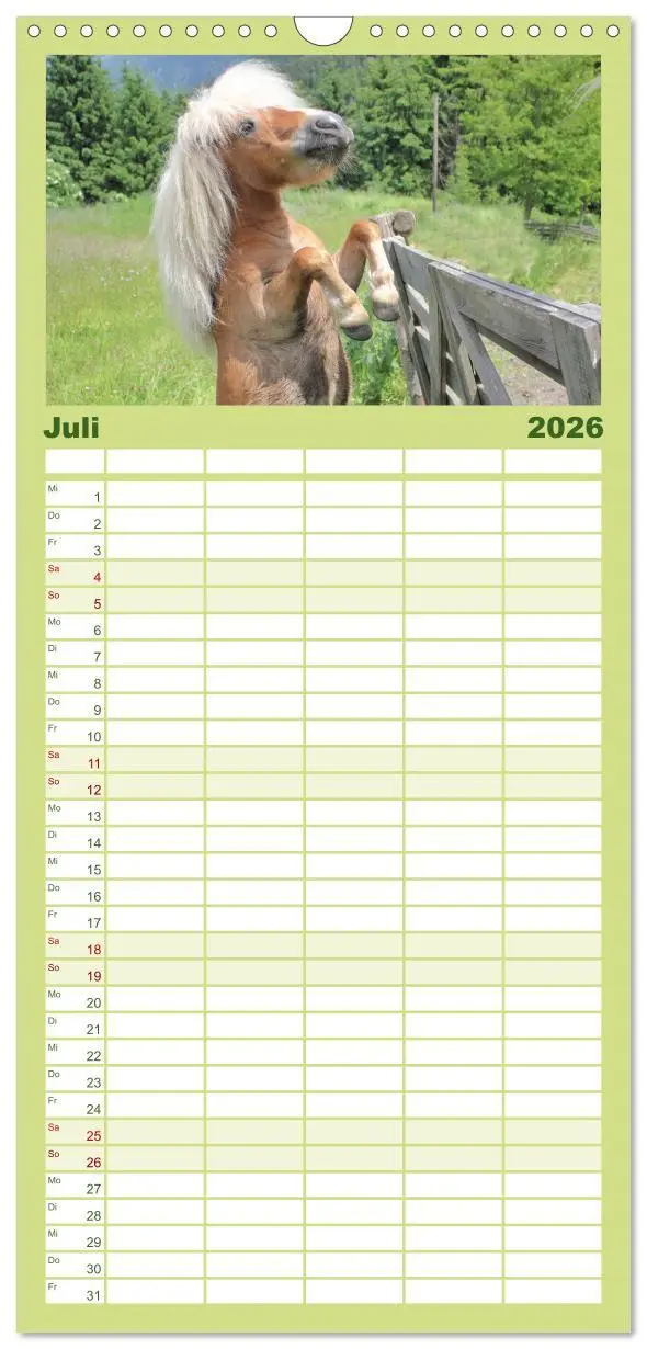 Bild: 9783516511147 | Familienplaner 2026 - Alpenpferde mit 5 Spalten (Wandkalender, 21 x...