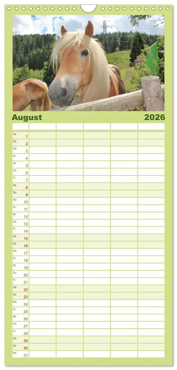 Bild: 9783516511147 | Familienplaner 2026 - Alpenpferde mit 5 Spalten (Wandkalender, 21 x...