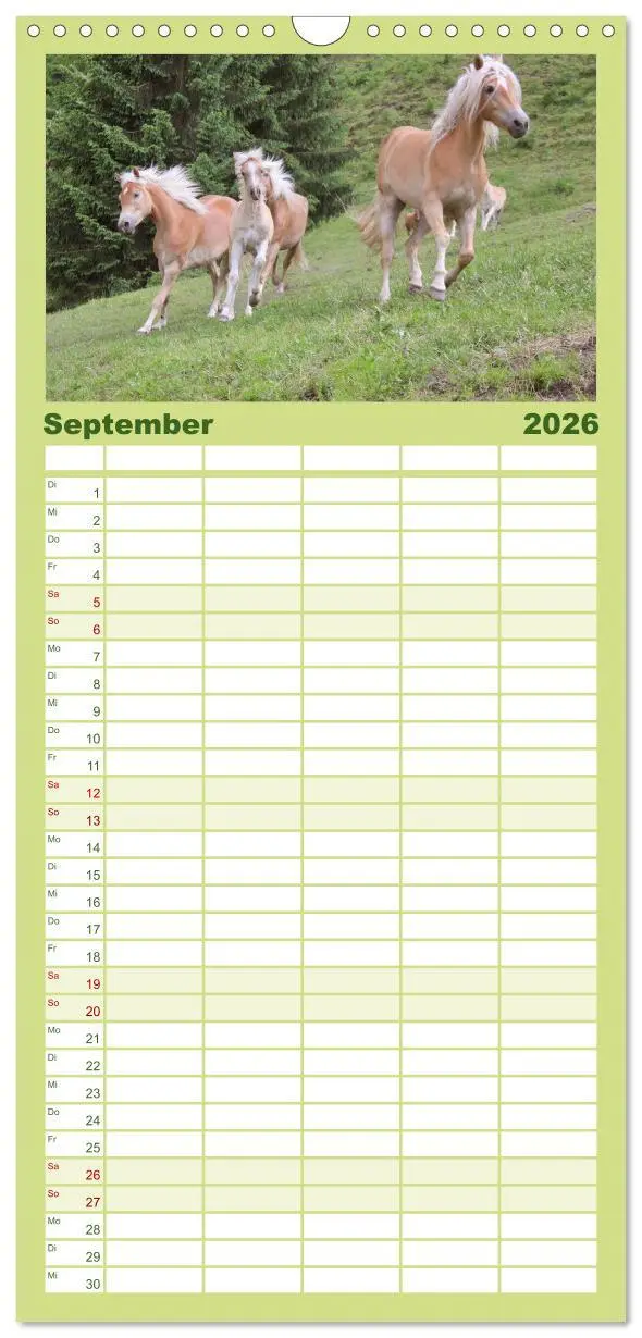 Bild: 9783516511147 | Familienplaner 2026 - Alpenpferde mit 5 Spalten (Wandkalender, 21 x...