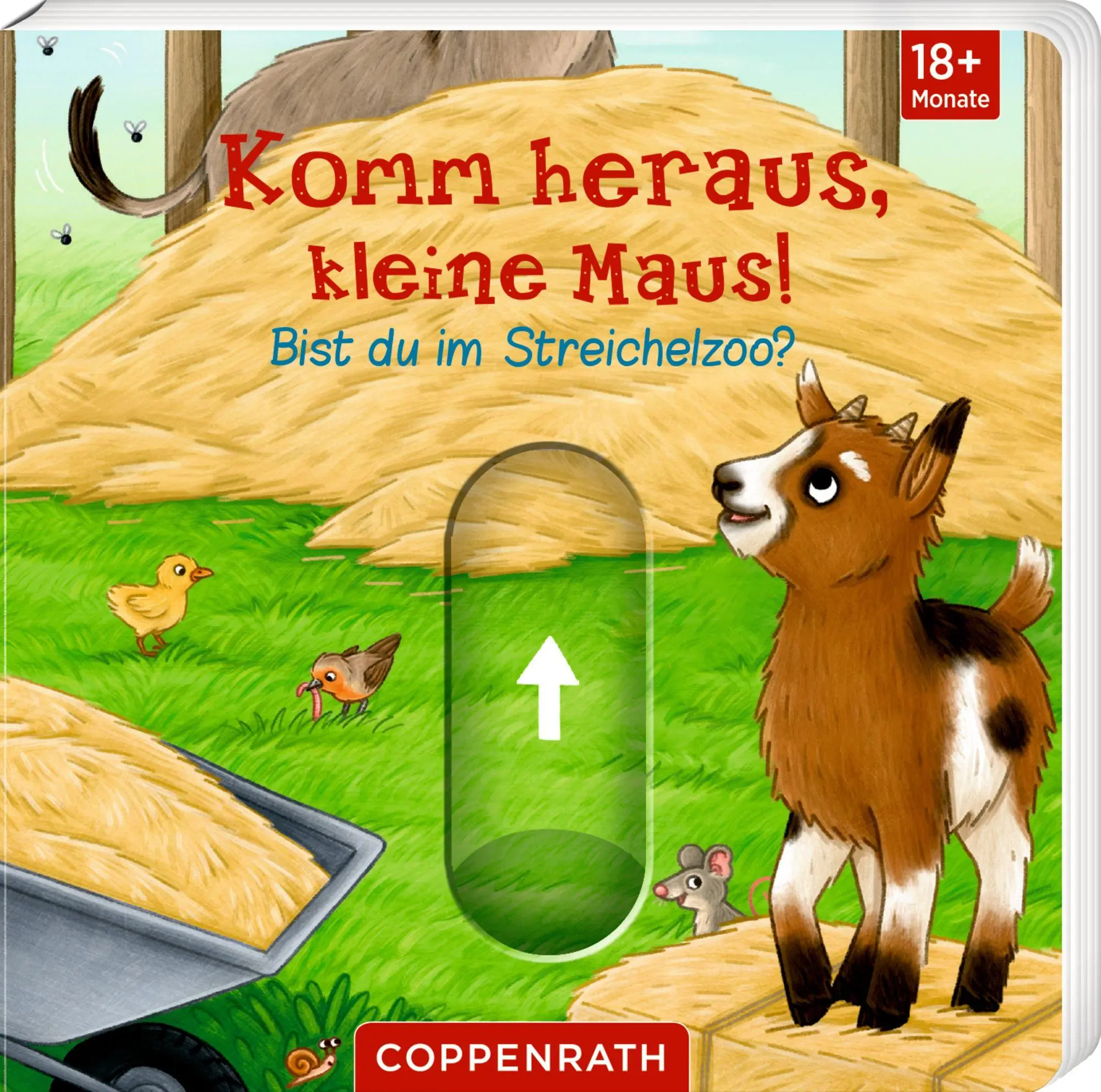 Bild: 9783649651147 | Komm heraus, kleine Maus!: Bist du im Streichelzoo? | Ruby Warnecke