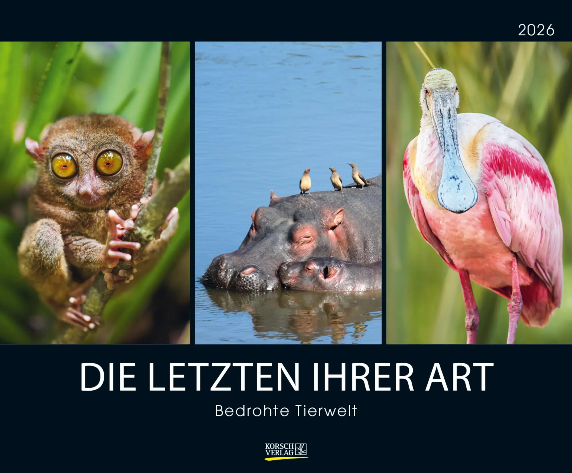 Cover: 9783731891147 | Bedrohte Tierwelt 2026 | Verlag Korsch | Kalender | Spiralbindung