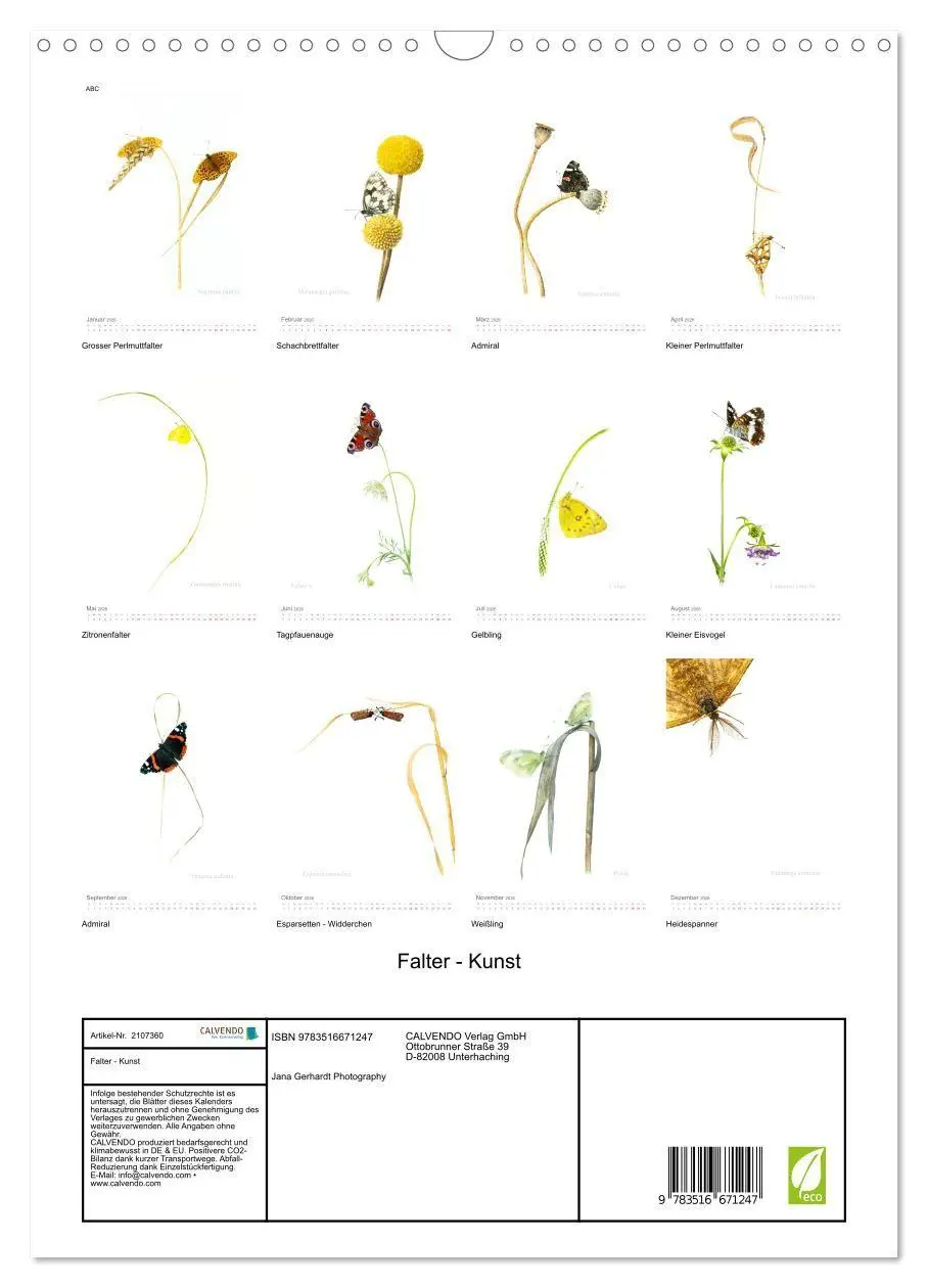 Bild: 9783516671247 | Falter - Kunst (Wandkalender 2026 DIN A3 hoch), CALVENDO...