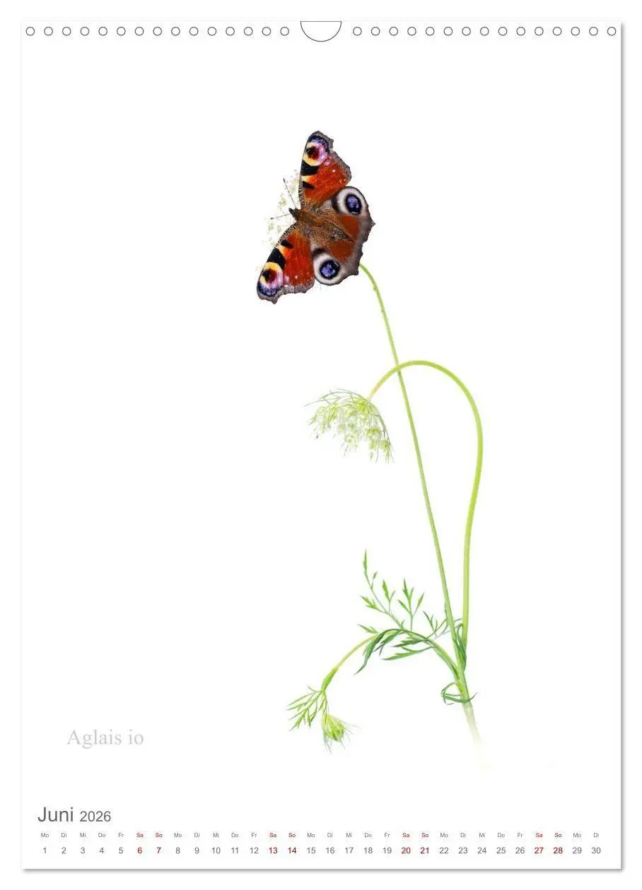 Bild: 9783516671247 | Falter - Kunst (Wandkalender 2026 DIN A3 hoch), CALVENDO...