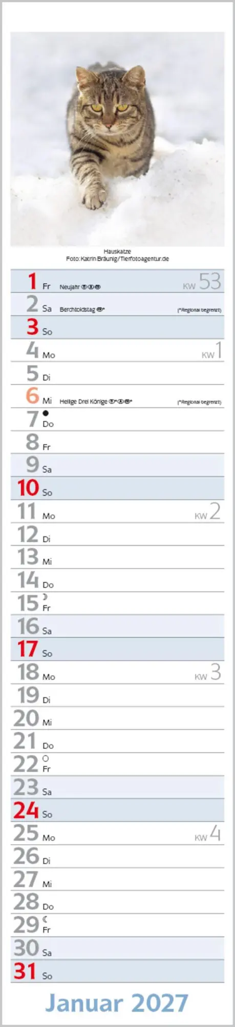 Bild: 9783819301247 | Katzen Langplaner 2027 | Langplaner | Verlag Korsch | Kalender | 13 S.