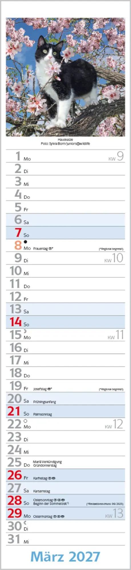 Bild: 9783819301247 | Katzen Langplaner 2027 | Langplaner | Verlag Korsch | Kalender | 13 S.