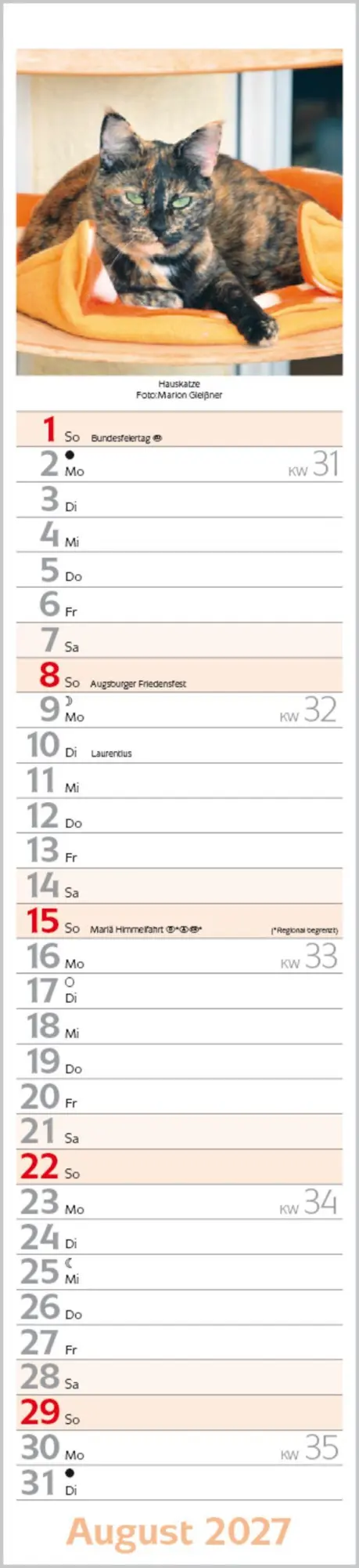 Bild: 9783819301247 | Katzen Langplaner 2027 | Langplaner | Verlag Korsch | Kalender | 13 S.