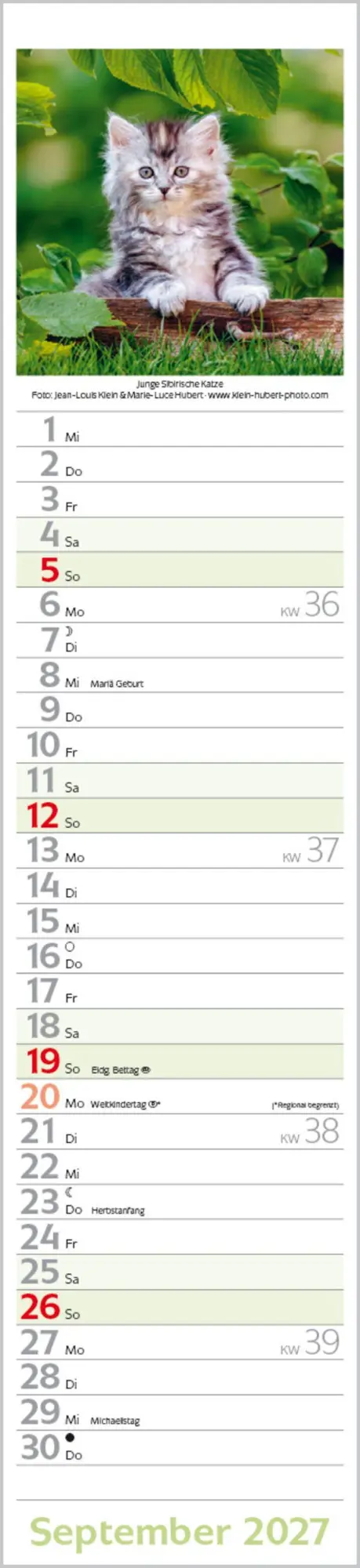 Bild: 9783819301247 | Katzen Langplaner 2027 | Langplaner | Verlag Korsch | Kalender | 13 S.