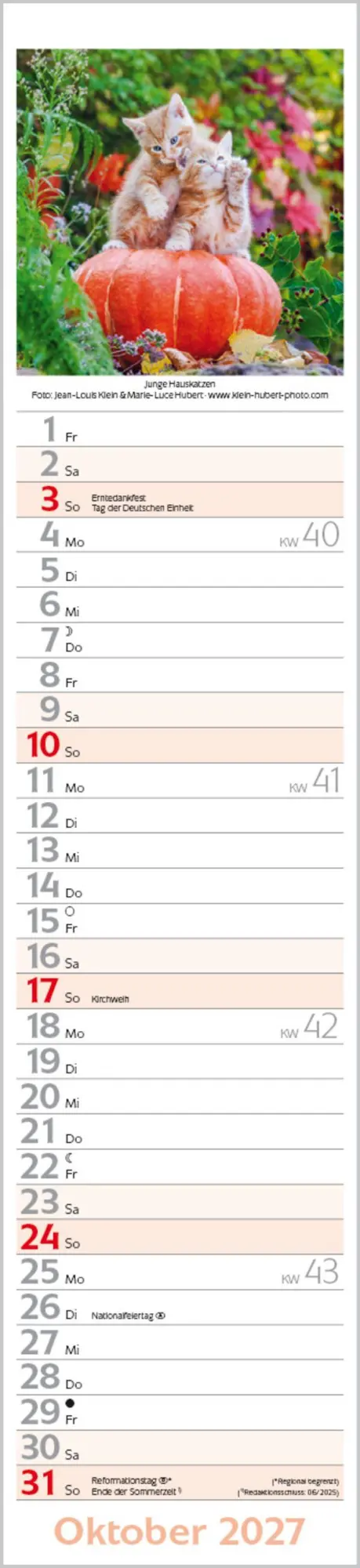 Bild: 9783819301247 | Katzen Langplaner 2027 | Langplaner | Verlag Korsch | Kalender | 13 S.