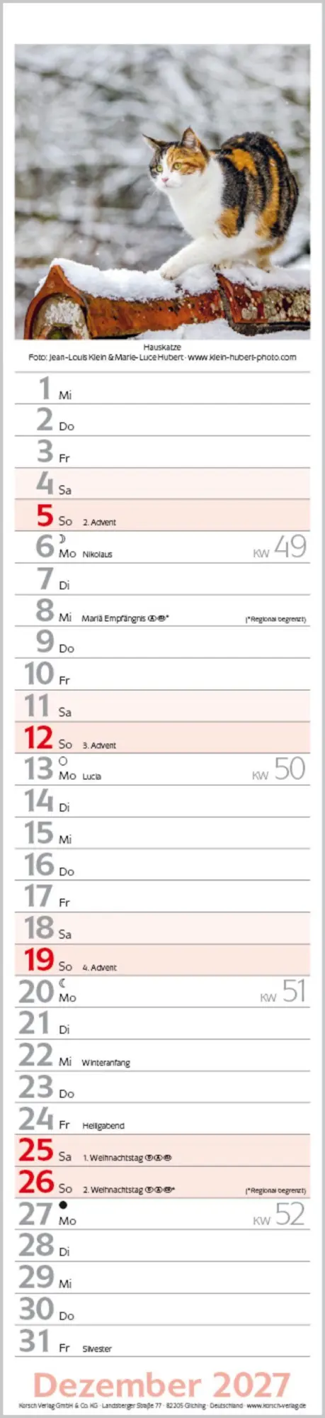 Bild: 9783819301247 | Katzen Langplaner 2027 | Langplaner | Verlag Korsch | Kalender | 13 S.
