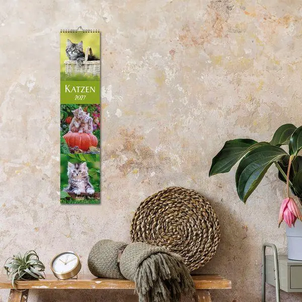 Bild: 9783819301247 | Katzen Langplaner 2027 | Langplaner | Verlag Korsch | Kalender | 13 S.