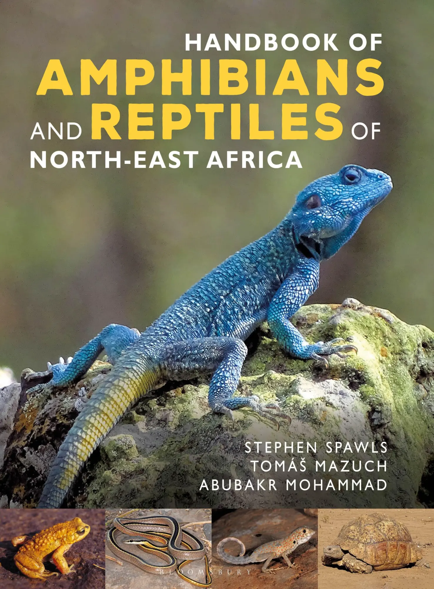 Cover: 9781472991447 | Handbook of Amphibians and Reptiles of North-East Africa | Buch | 2023