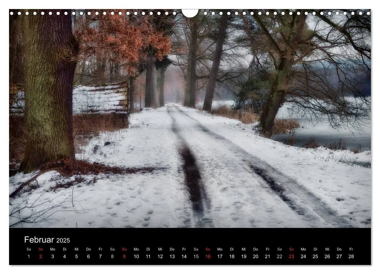 Bild: 9783435781447 | Waldkalender (Wandkalender 2025 DIN A3 quer), CALVENDO Monatskalender