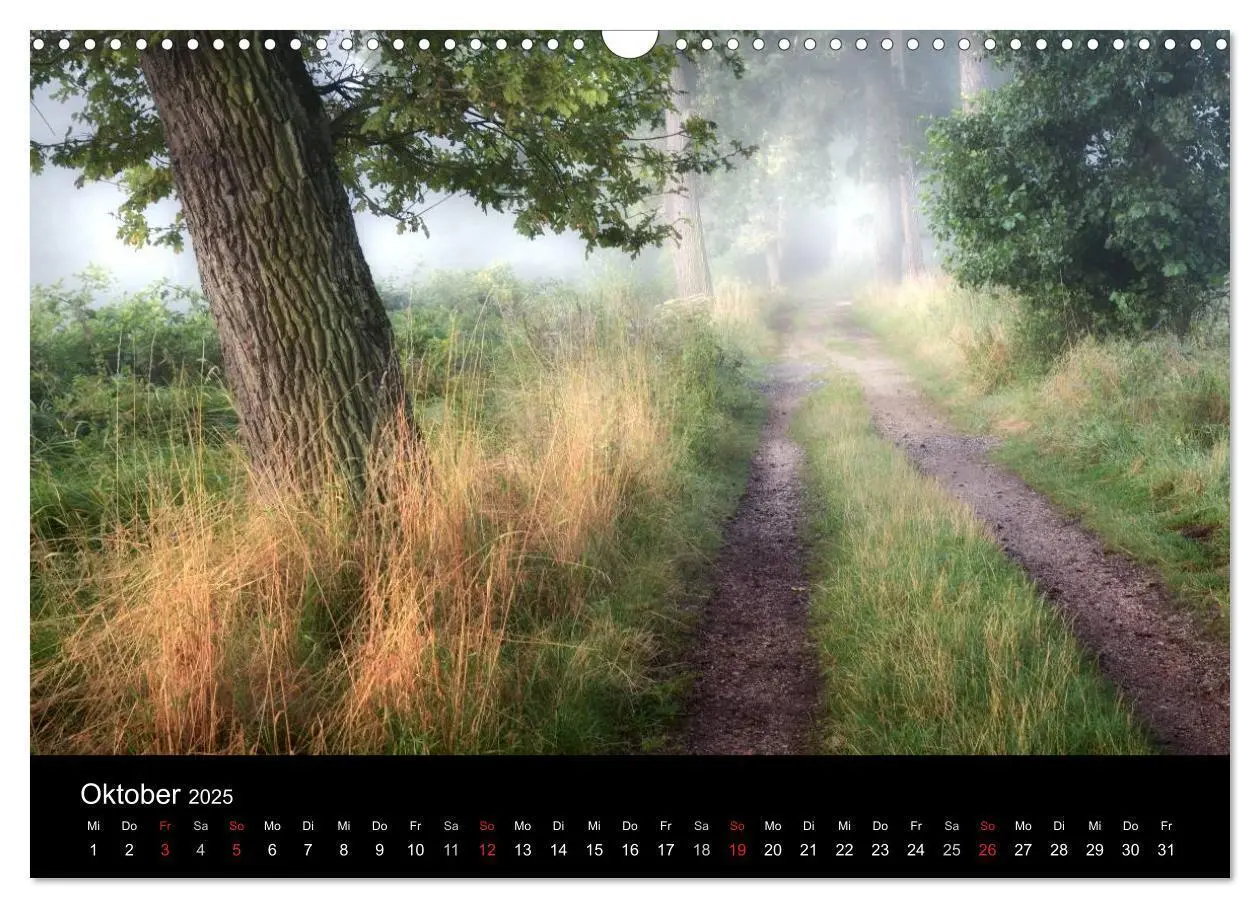 Bild: 9783435781447 | Waldkalender (Wandkalender 2025 DIN A3 quer), CALVENDO Monatskalender