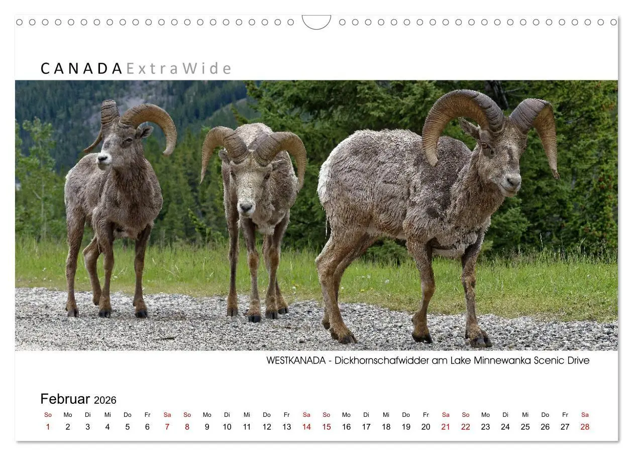 Bild: 9783457701447 | Impressionen aus Westkanada (Wandkalender 2026 DIN A3 quer),...