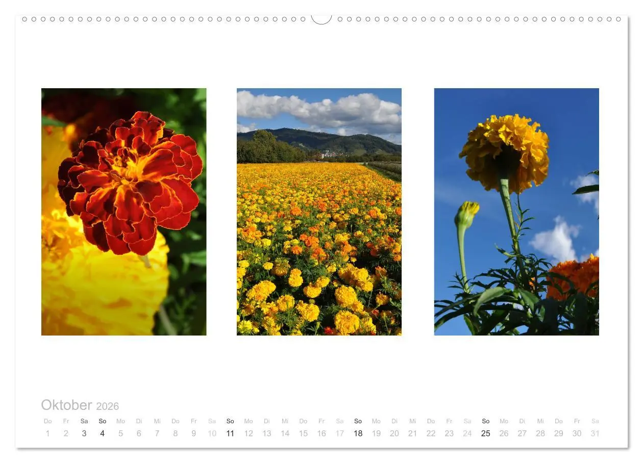 Bild: 9783516101447 | Blumen Trilogien (Wandkalender 2026 DIN A2 quer), CALVENDO...