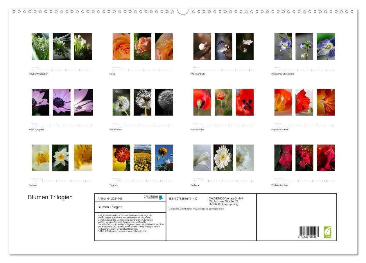 Bild: 9783516101447 | Blumen Trilogien (Wandkalender 2026 DIN A2 quer), CALVENDO...