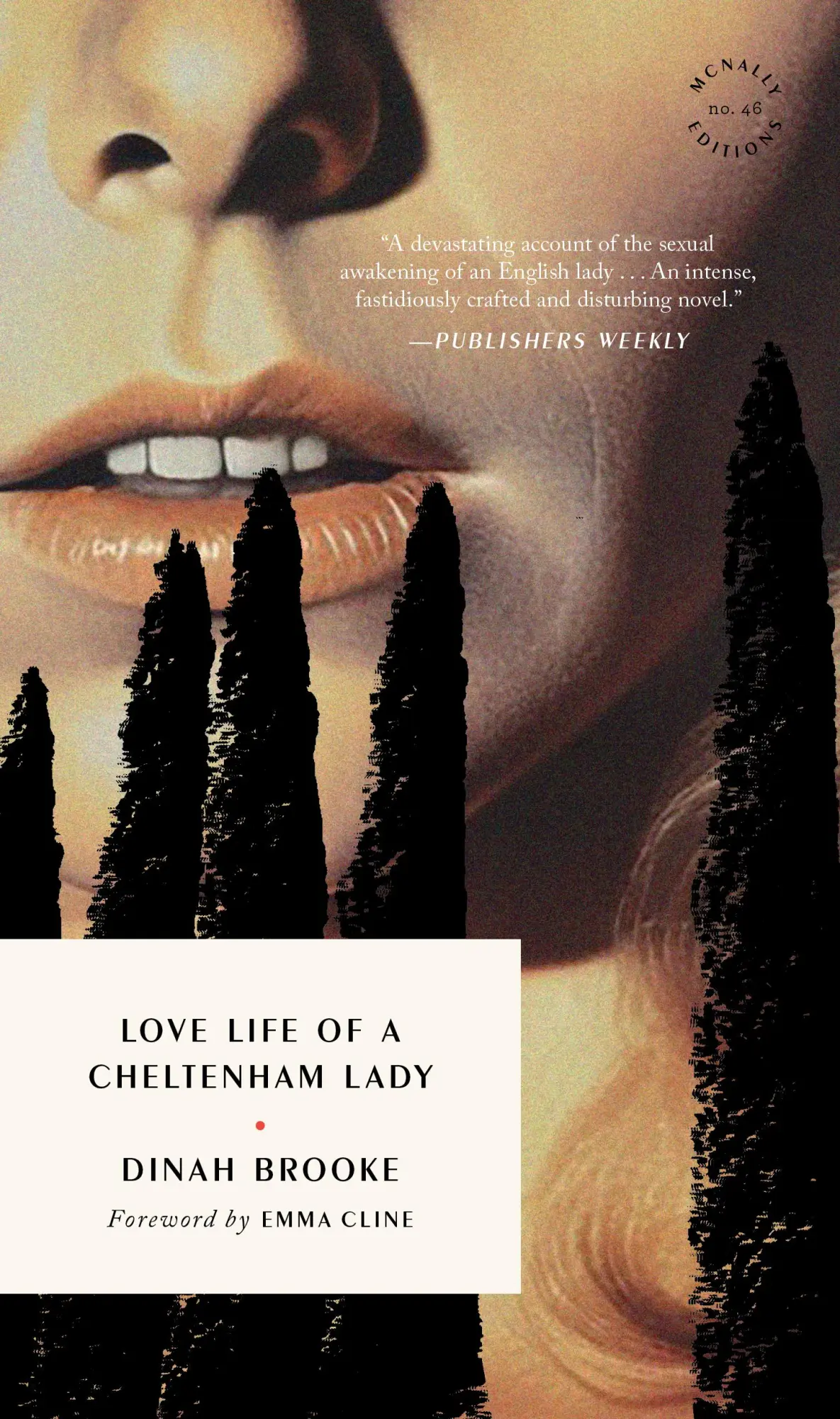 Cover: 9781961341647 | Love Life of a Cheltenham Lady | Dinah Brooke | Taschenbuch | Englisch