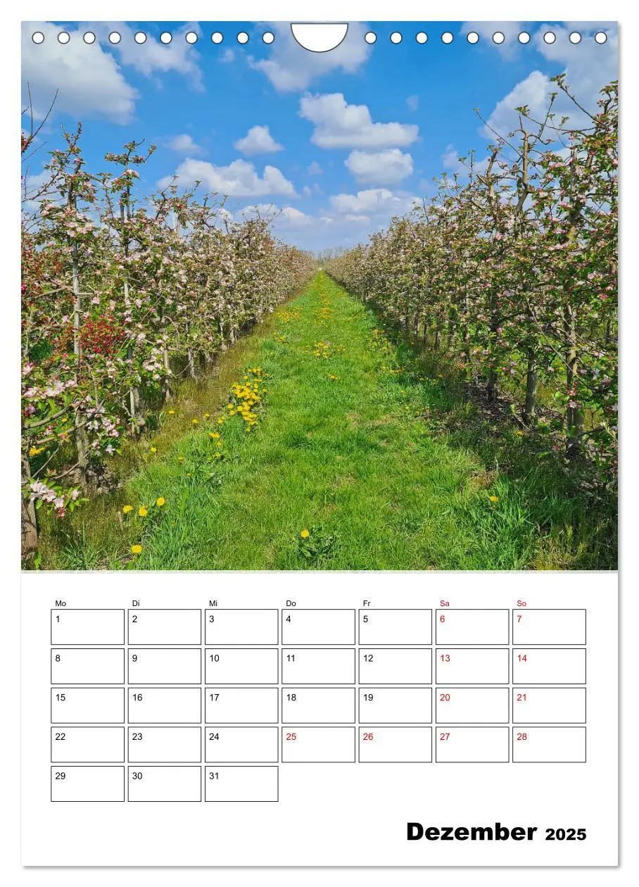 Bild: 9783435901647 | Frühling im Alten Land - Baumblütenzeit (Wandkalender 2025 DIN A4...