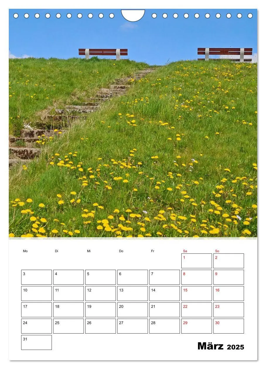 Bild: 9783435901647 | Frühling im Alten Land - Baumblütenzeit (Wandkalender 2025 DIN A4...