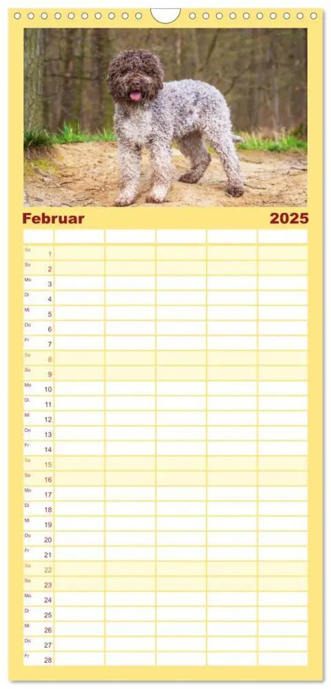 Bild: 9783457091647 | Familienplaner 2025 - Lagotto Romagnolo - der Trüffelhund Italiens...