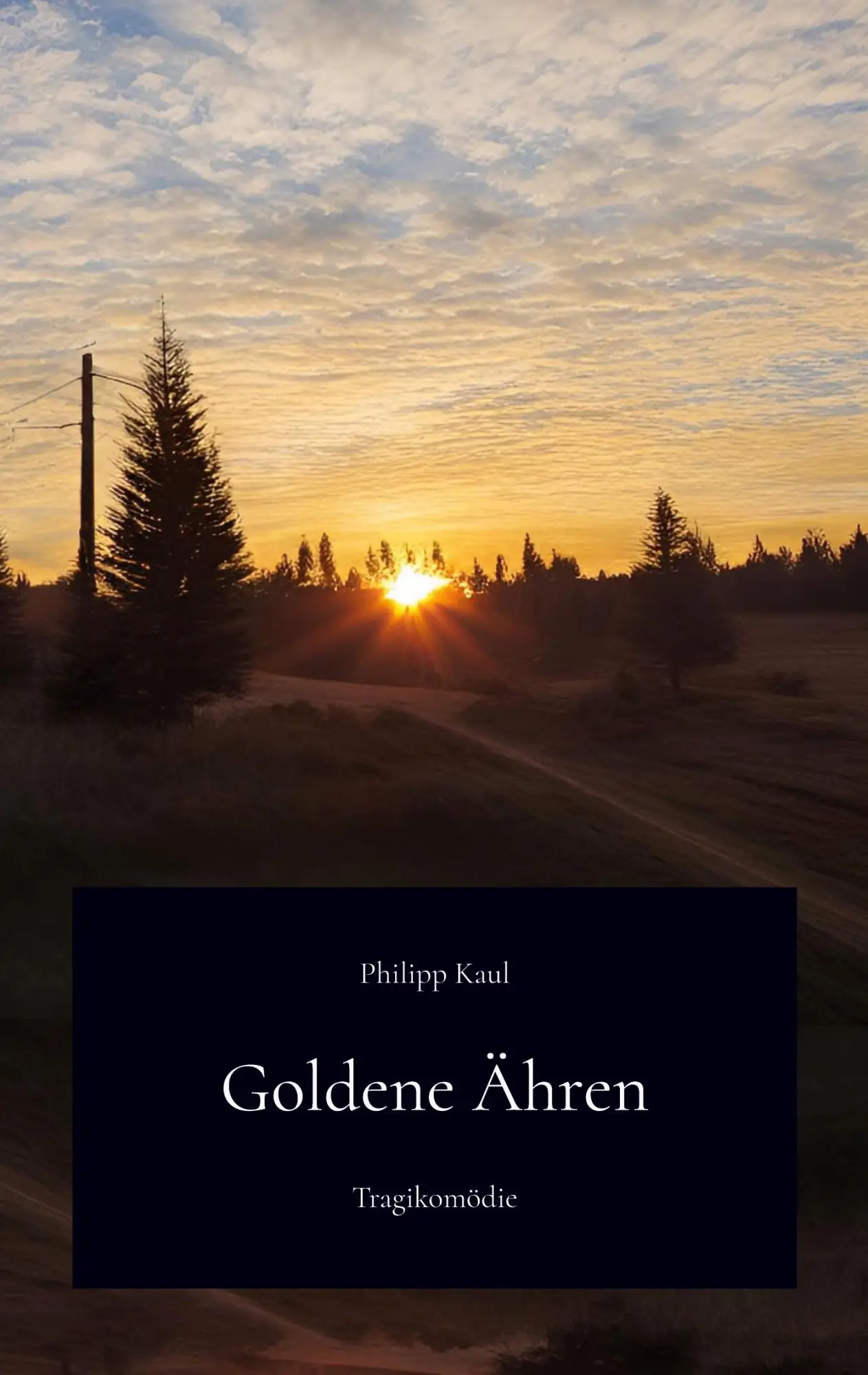 Cover: 9783769321647 | Goldene Ähren | Philipp Kaul | Taschenbuch | 350 S. | Deutsch | 2024