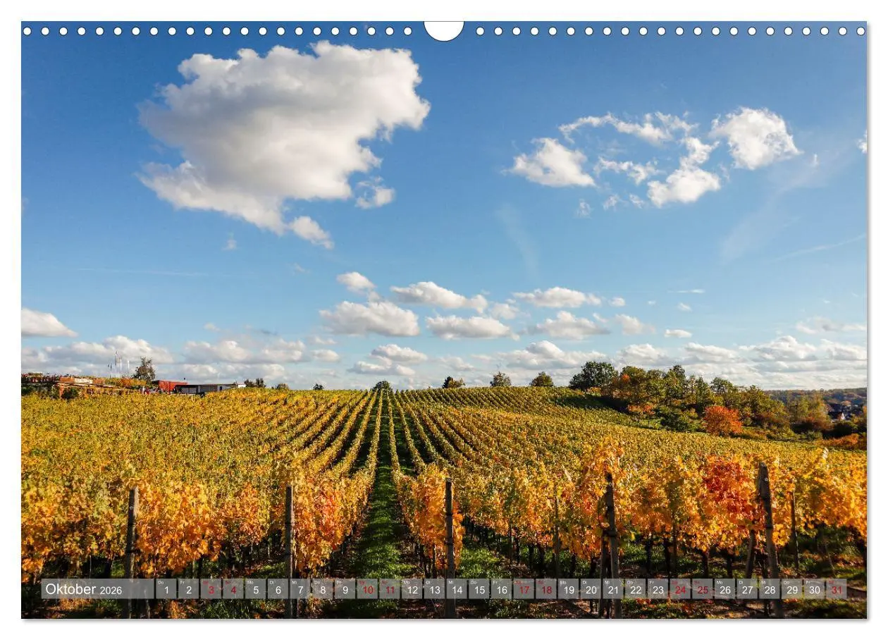 Bild: 9783457391747 | Werder - ein Kleinod an der Havel (Wandkalender 2026 DIN A3 quer),...