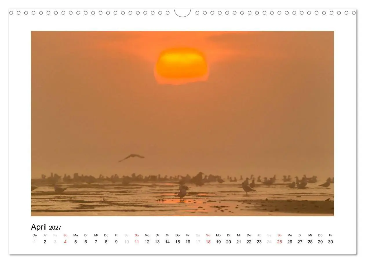 Bild: 9783594081747 | FEHMARN - Magische Momente (Wandkalender 2027 DIN A3 quer),...