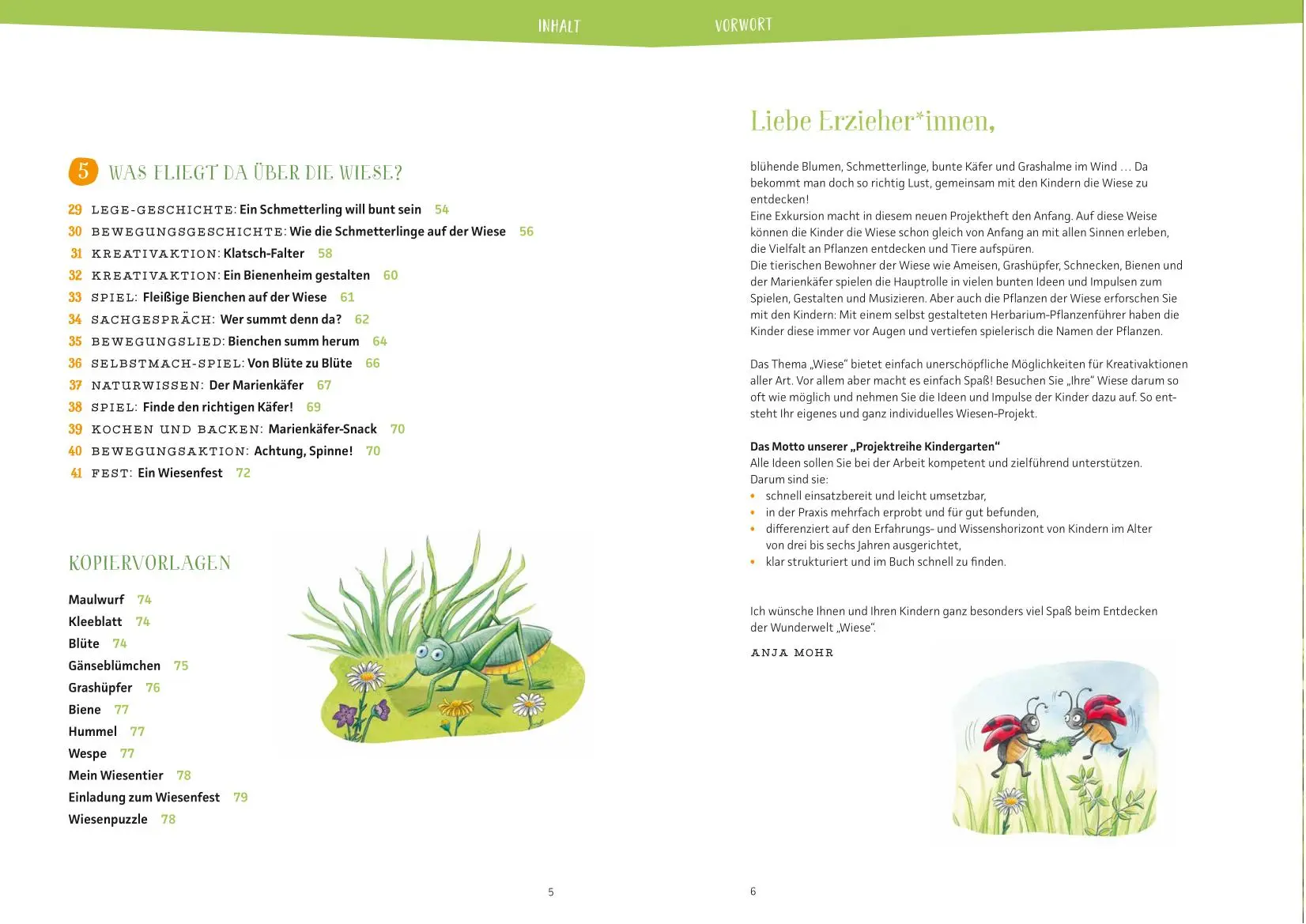 Bild: 9783780651747 | Projektreihe Kindergarten - Die Wiese | Anja Mohr | Taschenbuch | 2022
