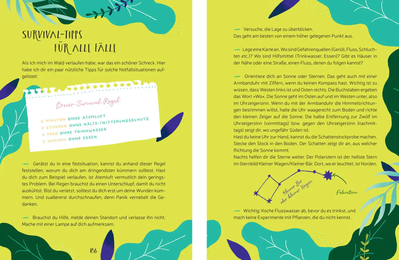 Autor: 9783846601747 | Herzenssachen - Sternenzelt &amp; Sommerträume | Corinna Wieja | Buch