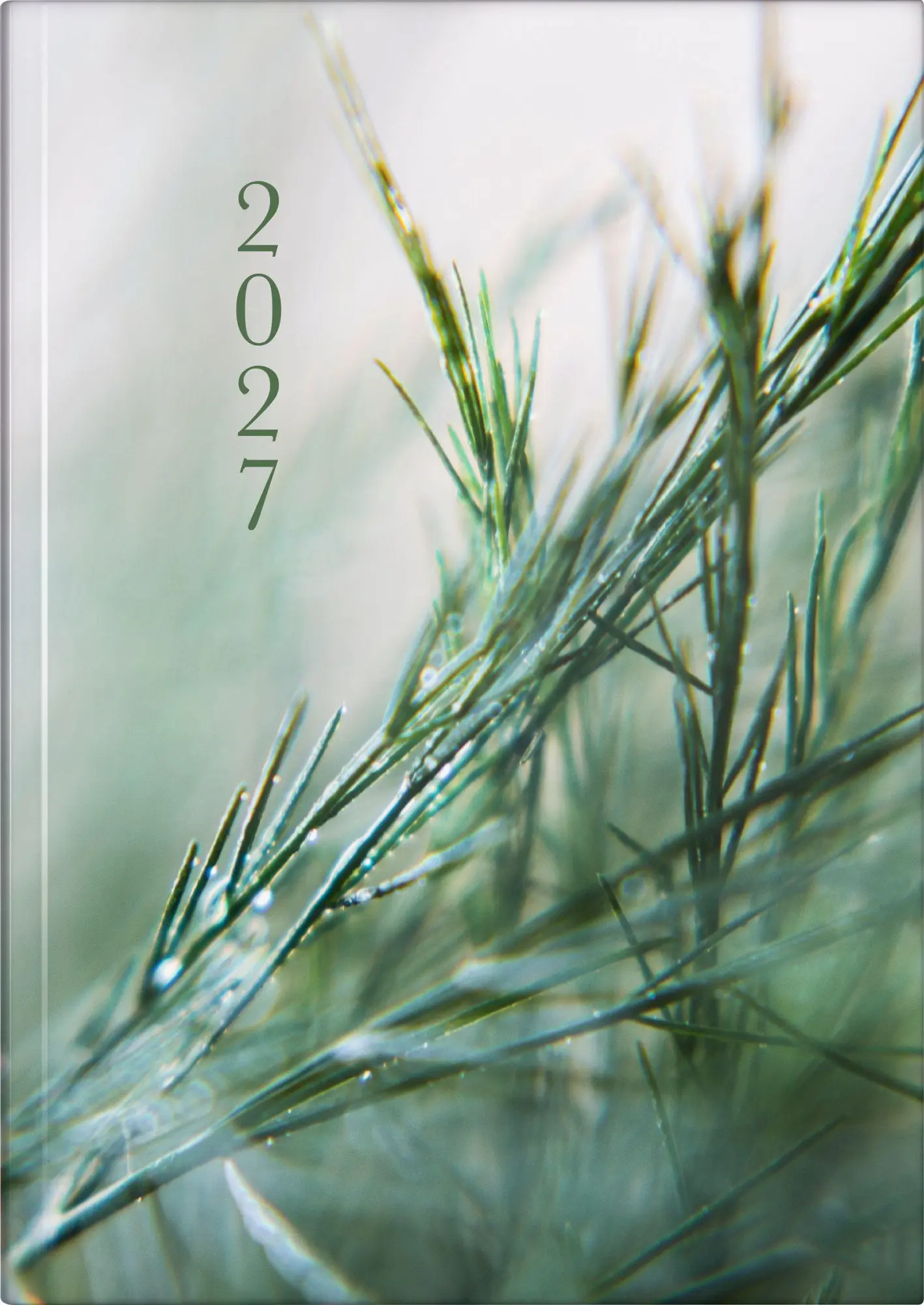 Cover: 4061947161847 | rido/idé 7021507017 Buchkalender Premium Young Line 2027 "Greeny"...