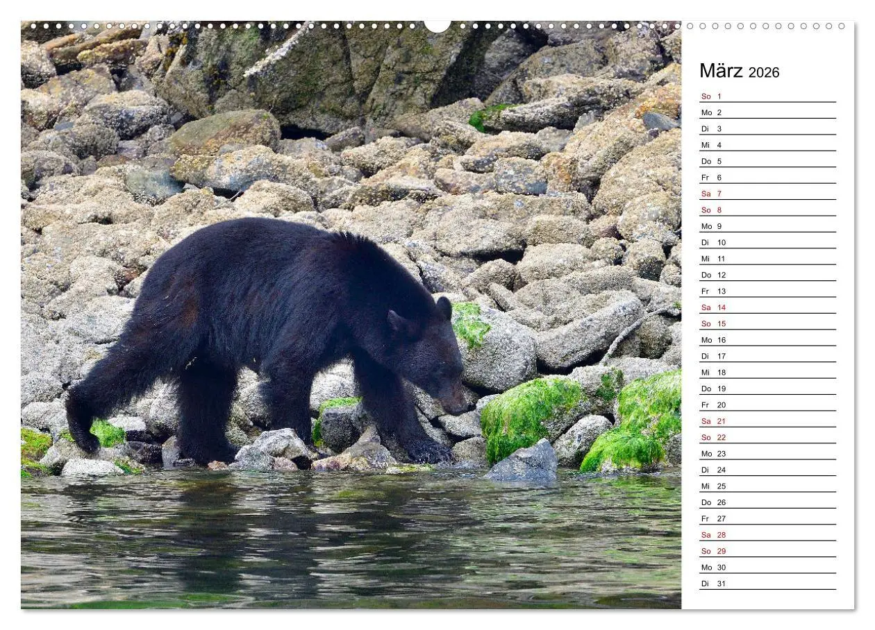 Bild: 9783457901847 | Vancouver Island - Perle im Kanadischen Westen (Wandkalender 2026...