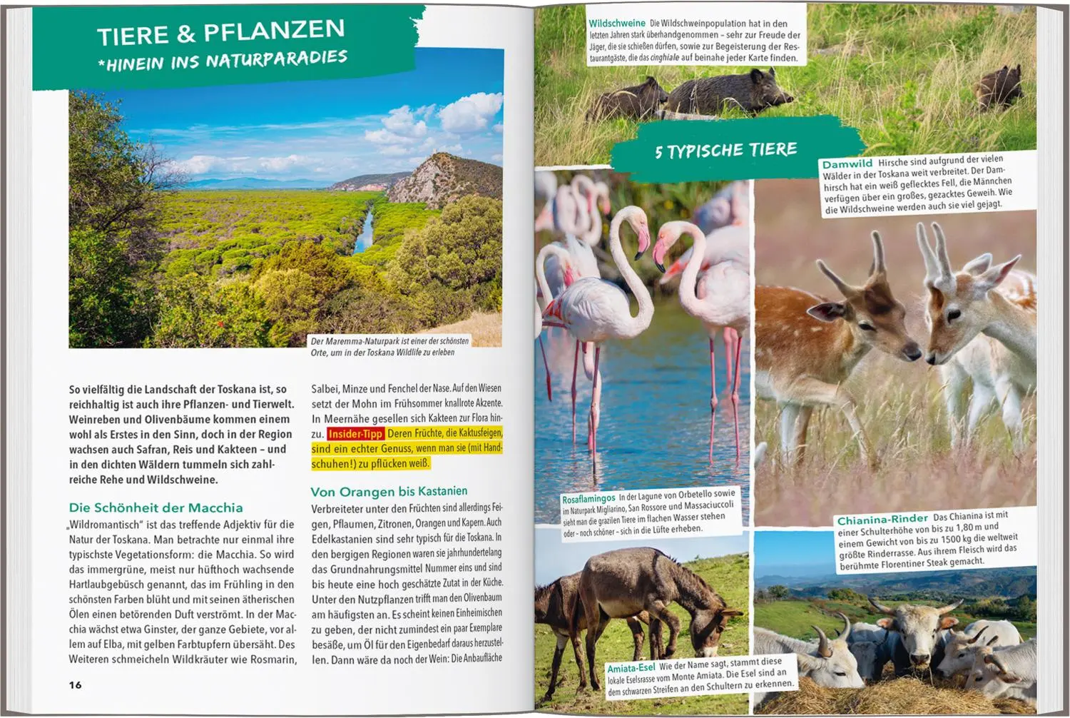 Bild: 9783575021847 | MARCO POLO OUTDOOR GUIDE Reiseführer Toskana | Maximilian Fleschhut
