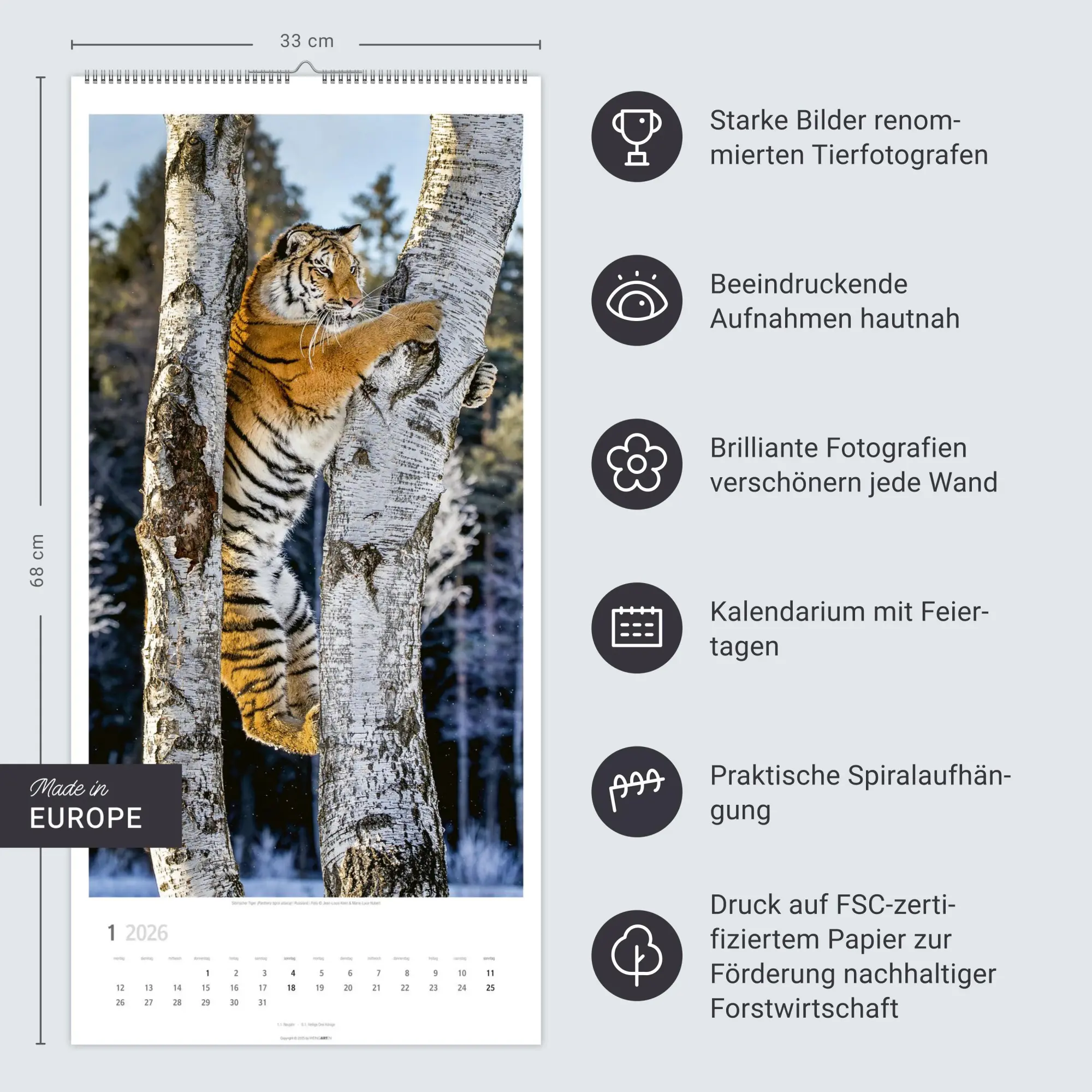 Bild: 9783839901847 | Big Cats Kalender 2026 | Kalender | Spiralbindung | 14 S. | Deutsch