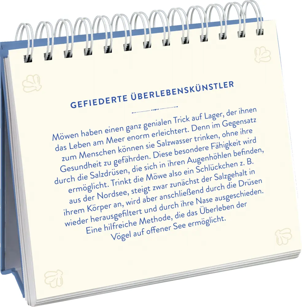Bild: 9783848501847 | Sehnsuchtsort Meer | Groh Verlag | Taschenbuch | Spiralbindung | 2023