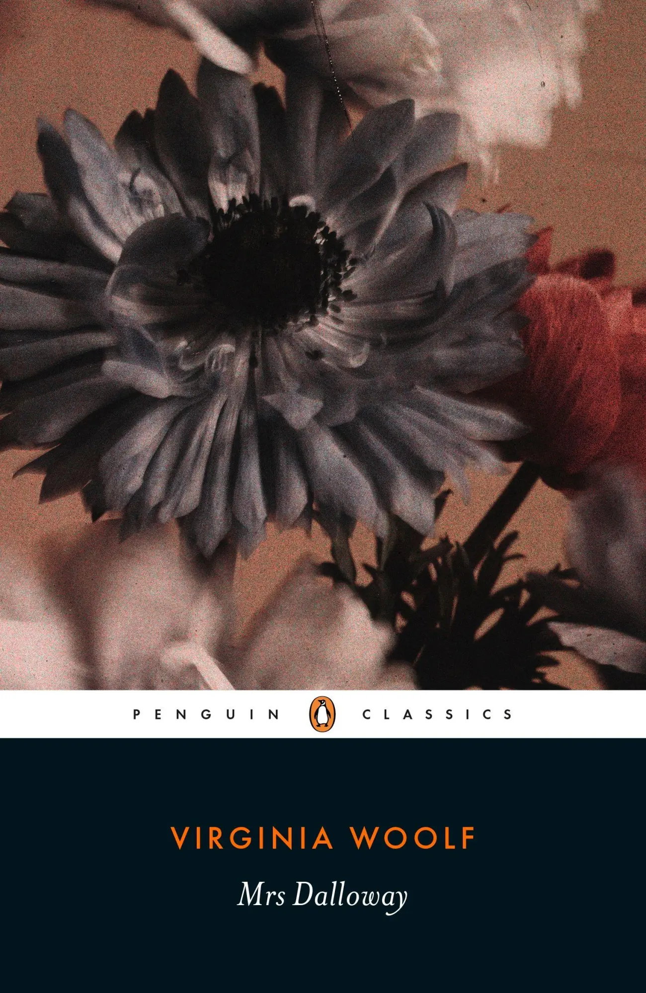 Cover: 9780241371947 | Mrs Dalloway | Virginia Woolf | Taschenbuch | Penguin Modern Classics Cover: 9780241371947 | Mrs Dalloway | Virginia Woolf | Taschenbuch | Penguin Modern Classics