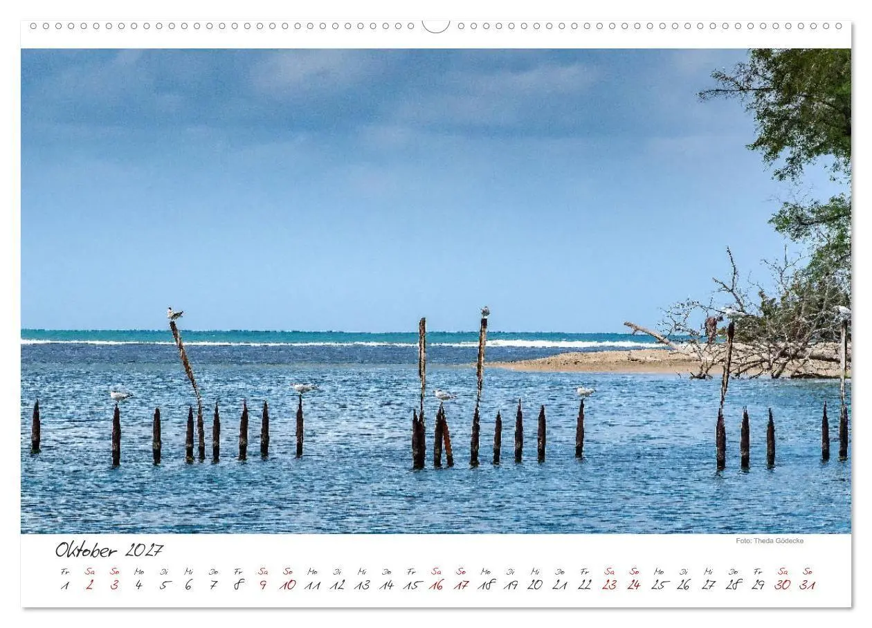 Bild: 9783569791947 | Natur pur, Costa Rica (Wandkalender 2027 DIN A2 quer), CALVENDO...