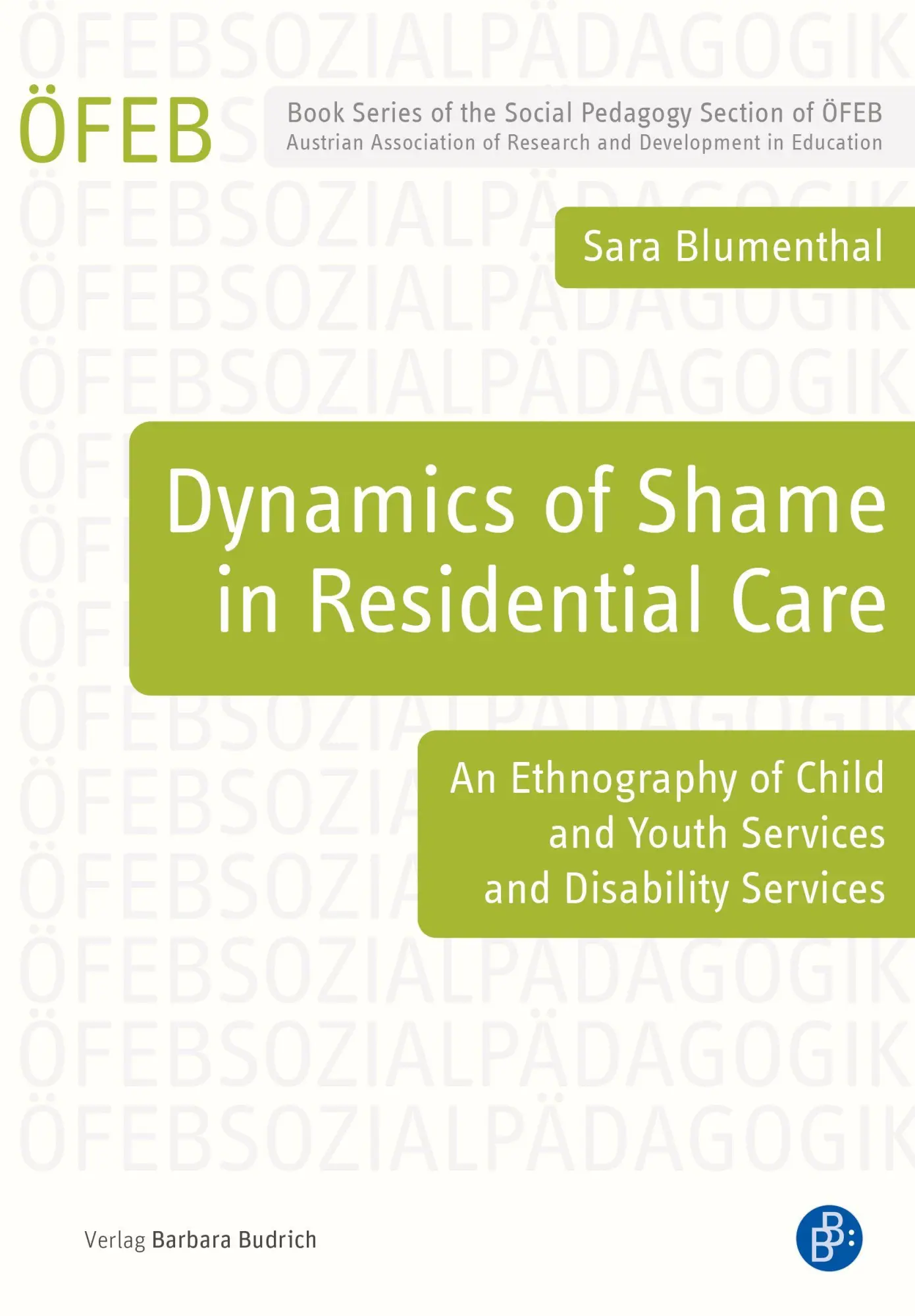 Cover: 9783847431947 | Dynamics of Shame in Residential Care | Sara Blumenthal | Taschenbuch