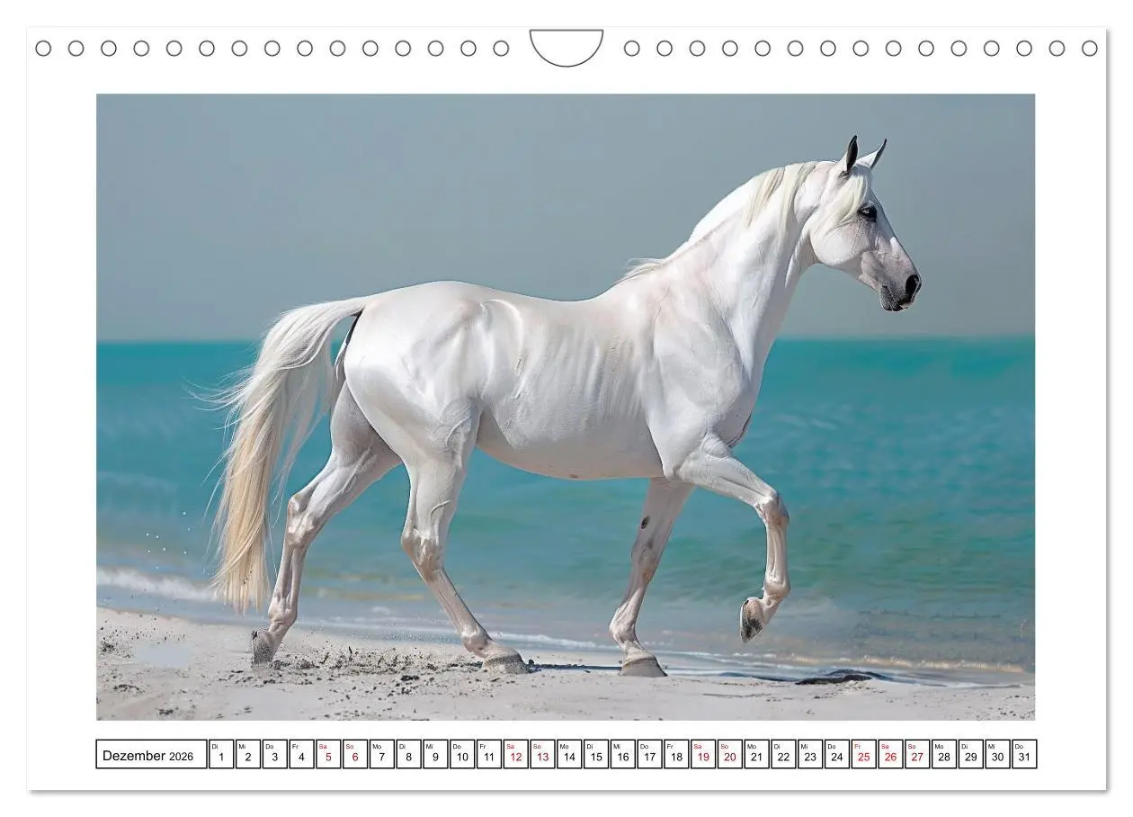 Bild: 9783457332047 | Bezaubernde Eleganz weißer Pferde (Wandkalender 2026 DIN A4 quer),...