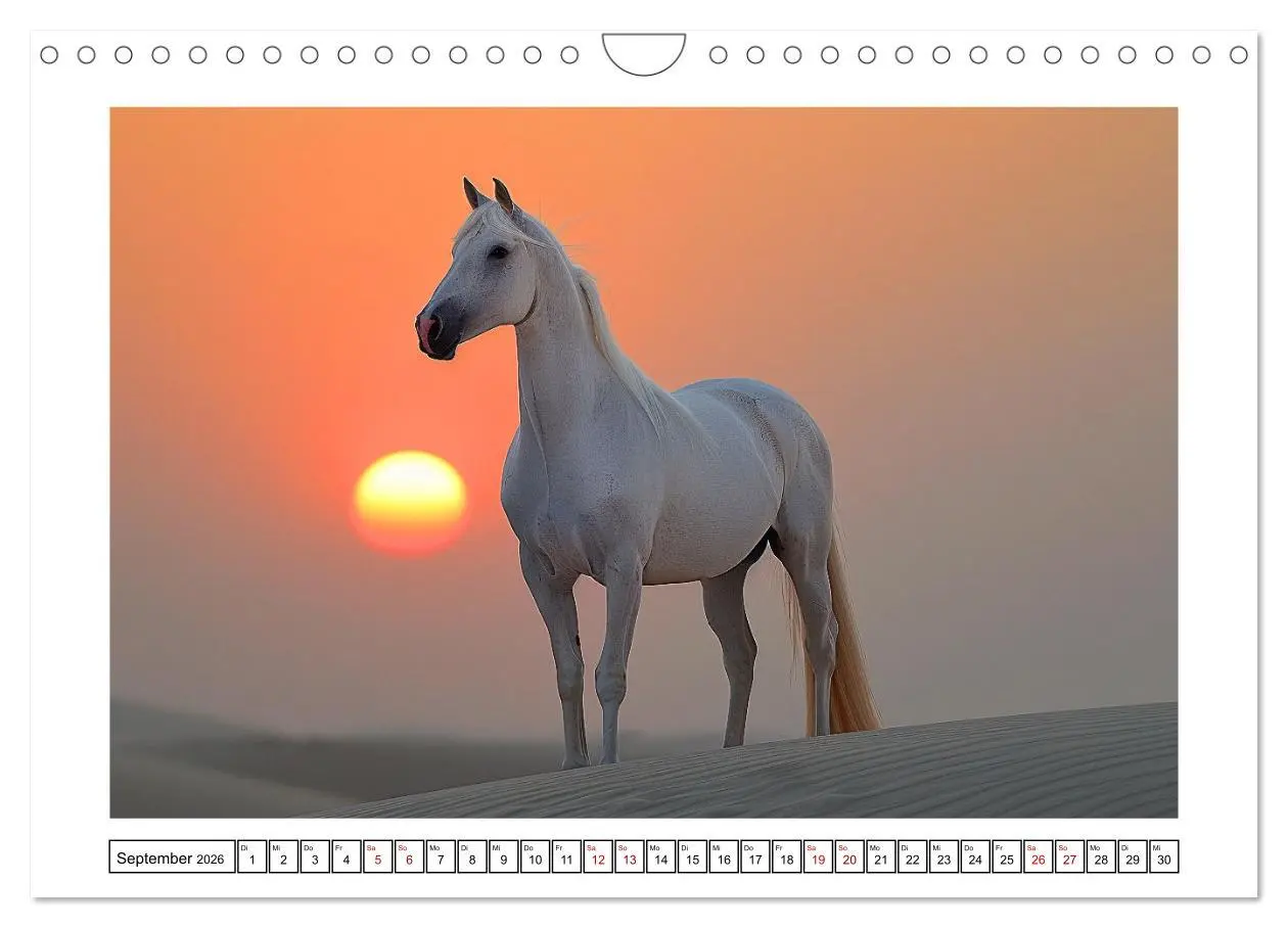 Bild: 9783457332047 | Bezaubernde Eleganz weißer Pferde (Wandkalender 2026 DIN A4 quer),...