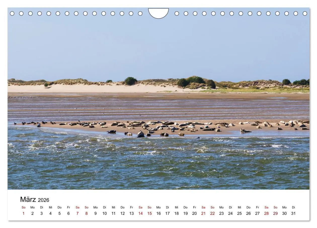 Bild: 9783457642047 | Ostfriesland - Ein Jahr in Bildern (Wandkalender 2026 DIN A4 quer),...