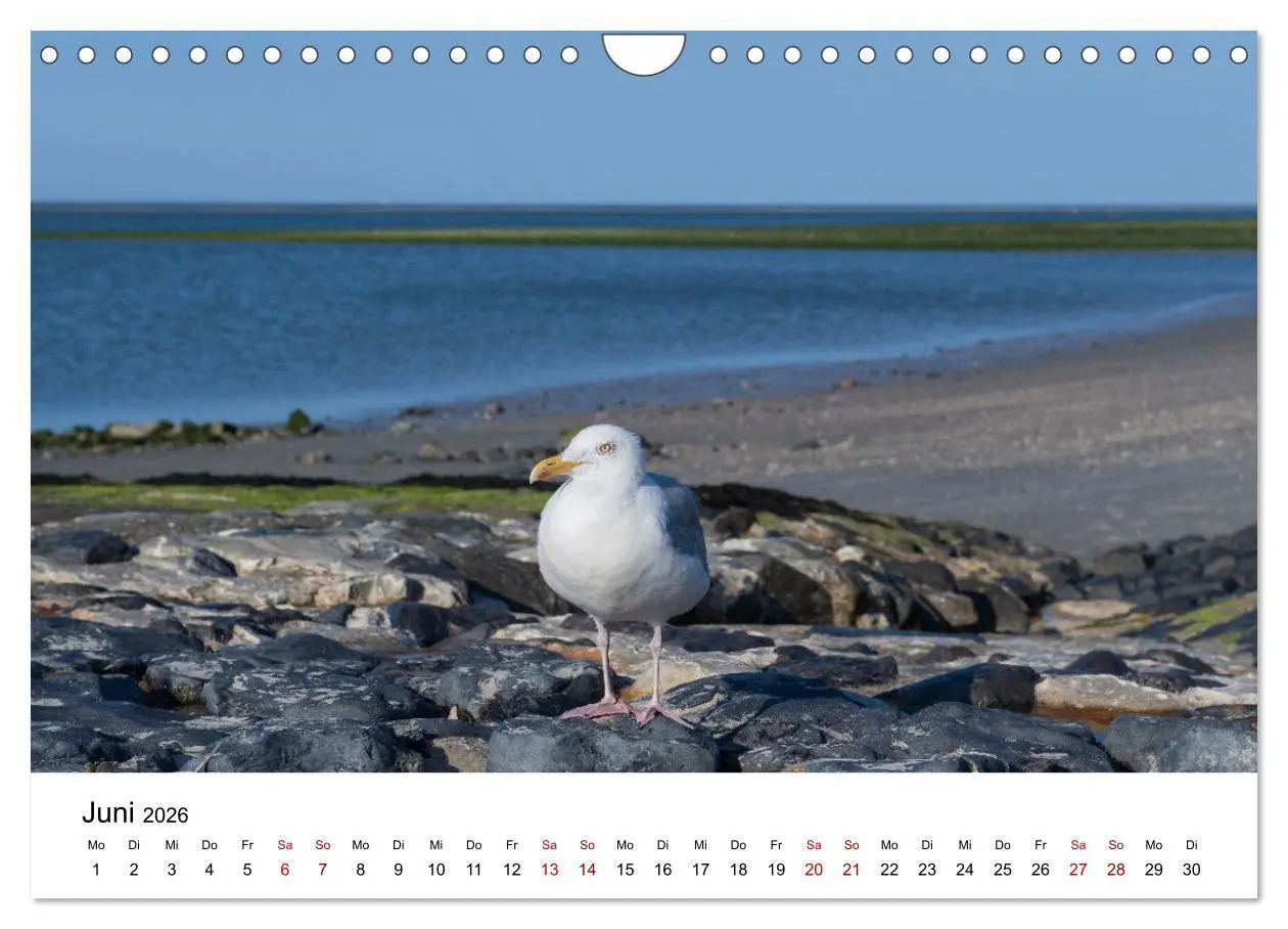 Bild: 9783457642047 | Ostfriesland - Ein Jahr in Bildern (Wandkalender 2026 DIN A4 quer),...