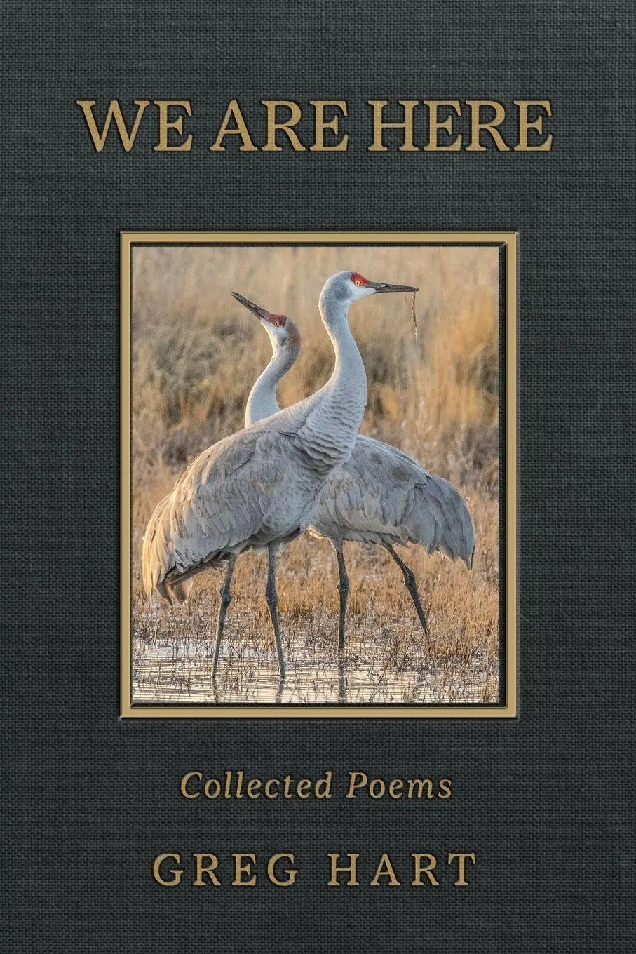 Cover: 9780979692147 | We Are Here | Greg Hart | Taschenbuch | Englisch | 2026