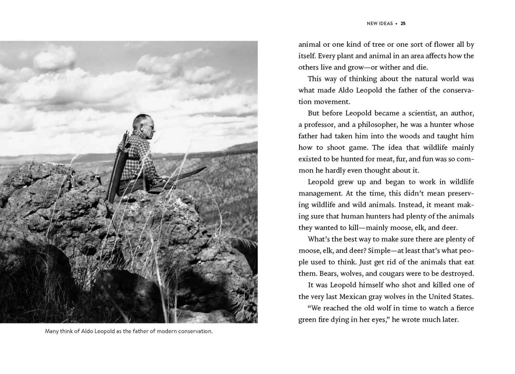 Bild: 9781643262147 | Nature's Best Hope (Young Readers' Edition) | Douglas W Tallamy | Buch