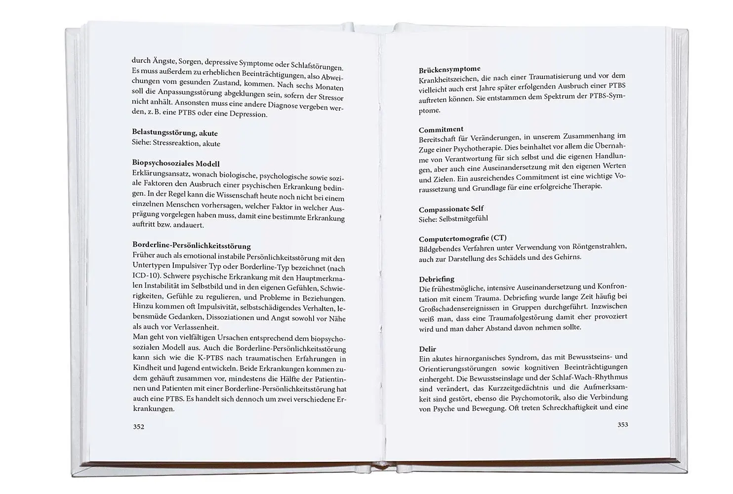 Bild: 9783426562147 | Das erschütterte Ich | Frank Schneider | Buch | 400 S. | Deutsch