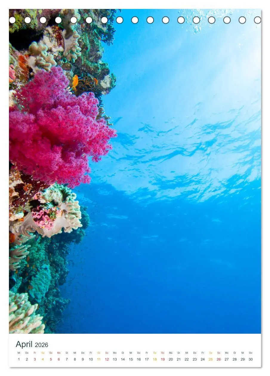 Bild: 9783516412147 | Unter Wasser daheim (Tischkalender 2026 DIN A5 hoch), CALVENDO...