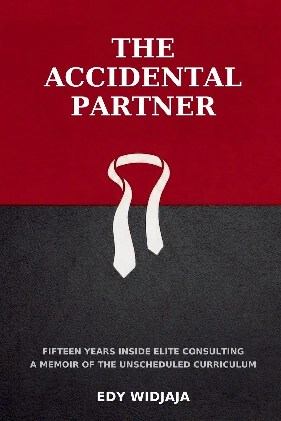 Cover: 9789819472147 | THE ACCIDENTAL PARTNER | Edy J Widjaja | Taschenbuch | Englisch | 2026